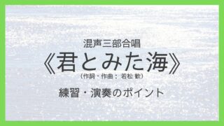 《君とみた海》演奏のポイント